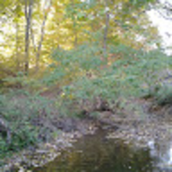 Meet your Posher, Steven - Picture 1 of 1